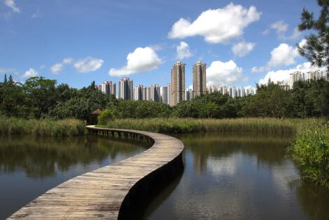 wetlandspfadhochhaeuser