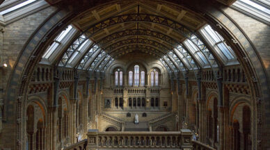 Die Eingangshalle ("Main Hall") des Natural History Museum.