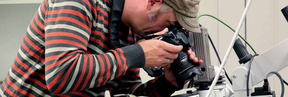 Braunschweigisches Landesmuseum/Ingeborg Simon, Wikipedia im BLM46, CC BY-SA 3.0