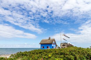 1024px-Graswarder_msu2017-8599