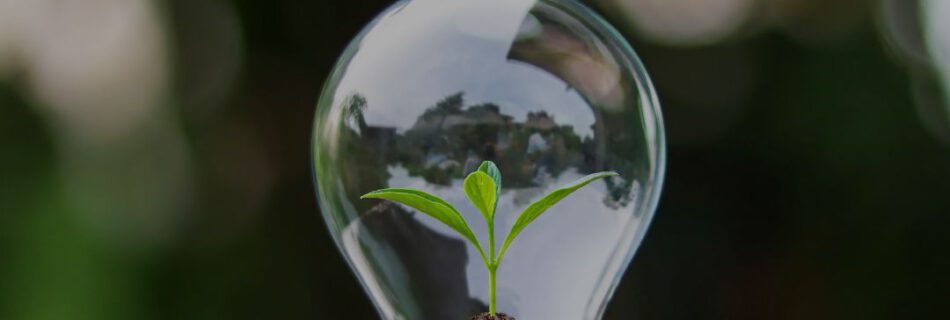 Beitragsbild zum Artikel Webseitenkonzept.