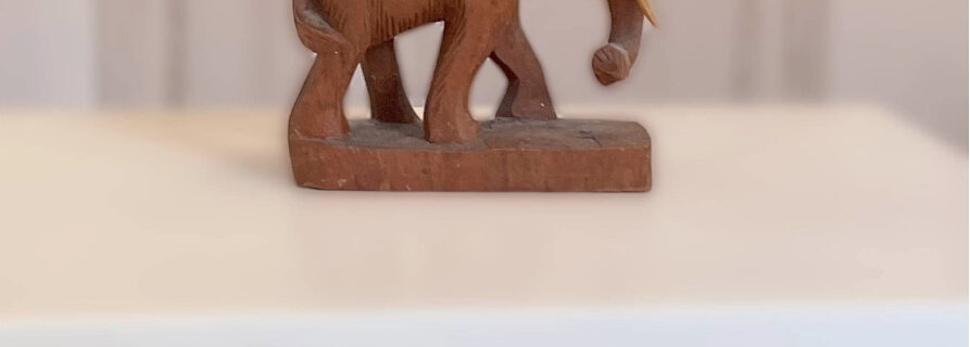 Beitragsbild zum Artikel 3d-Fotos mit dem Smartphone erstellen. Es zeigt einen Screenshot eines mit der App 3d-Shot erstellten Videos.